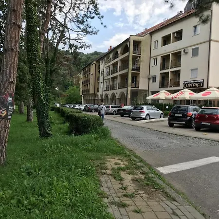 Danica Apartment Banja Koviljača