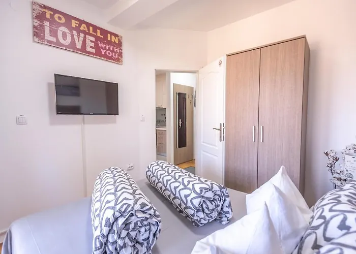 Apartament Danica Banja Koviljača