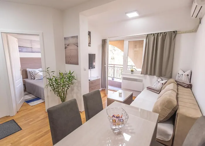 Apartament Danica Banja Koviljača