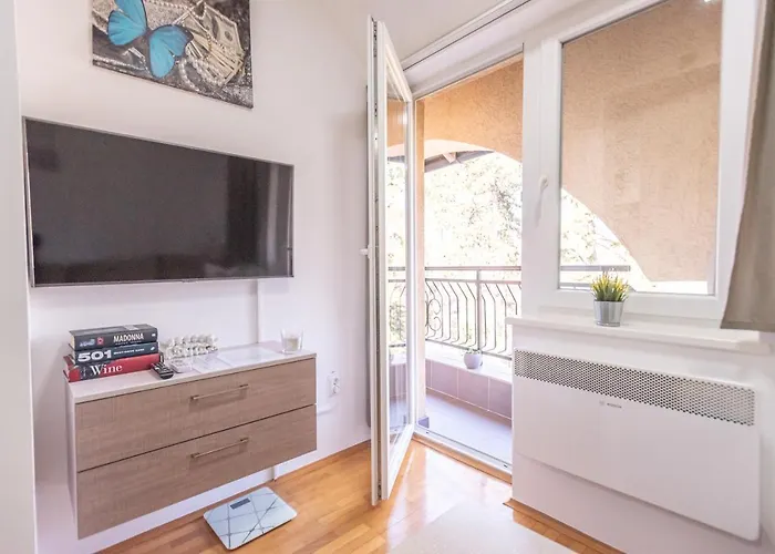 Apartament Danica Banja Koviljača