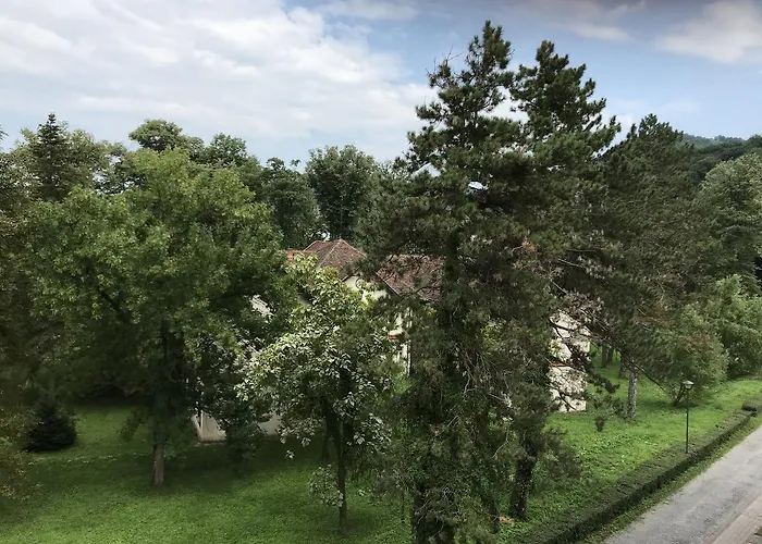 Apartament Danica Banja Koviljača