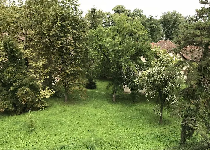 Danica Apartament Banja Koviljača