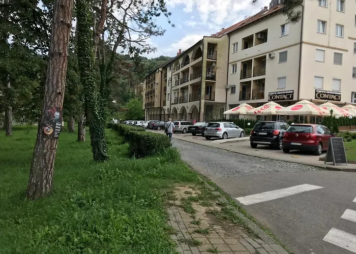 Danica Apartament Banja Koviljača